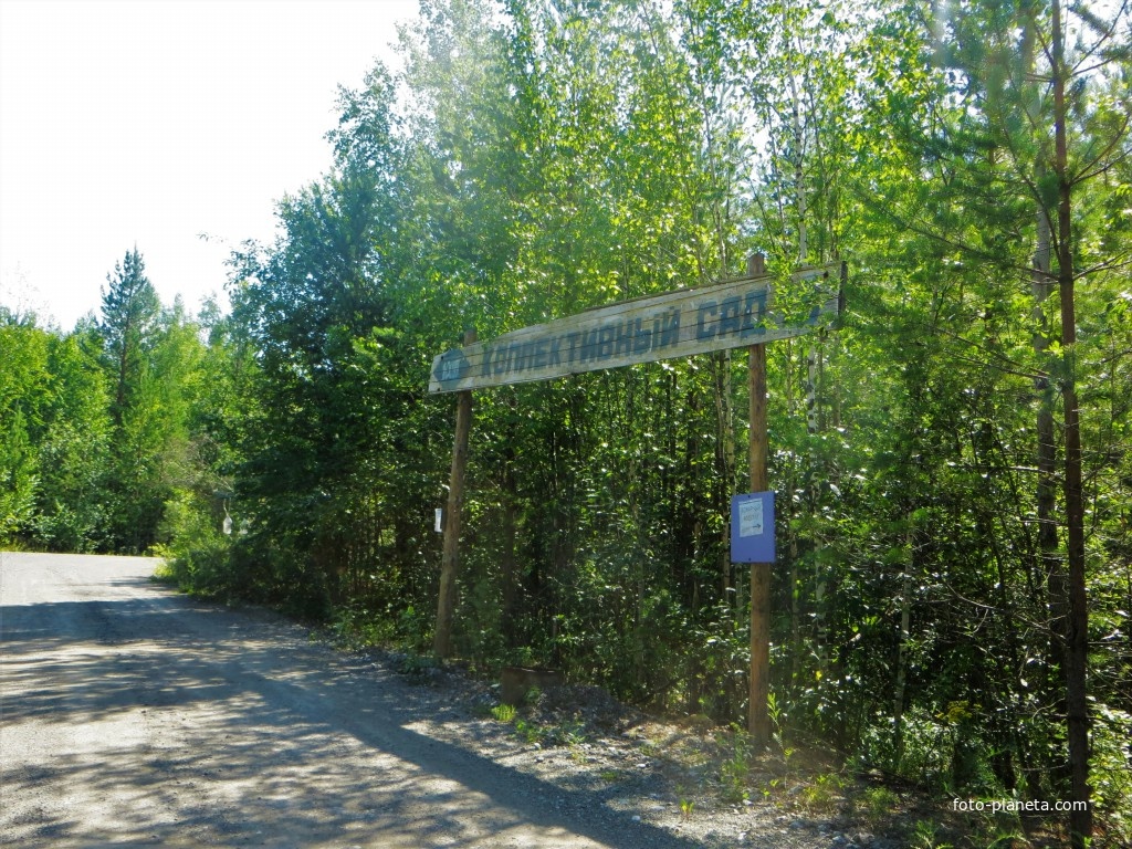 Коллективный сад № 18