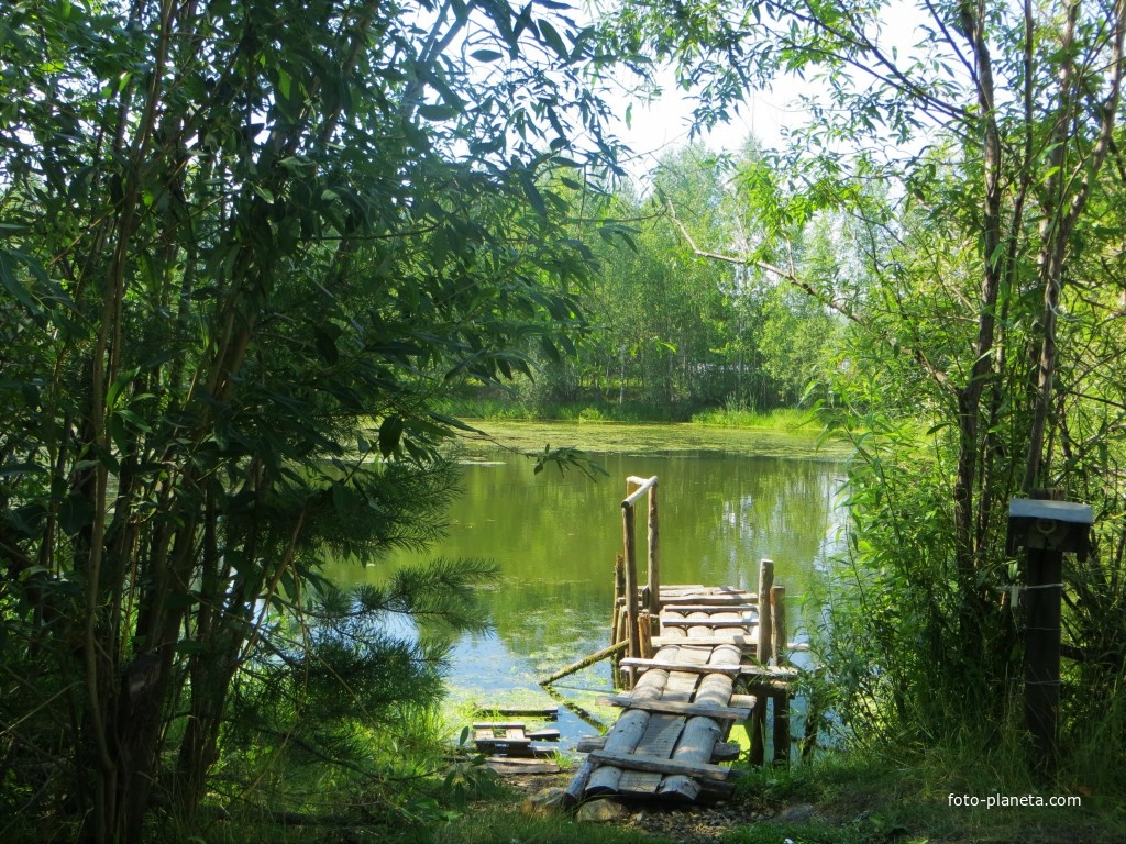 Коллективный сад № 18