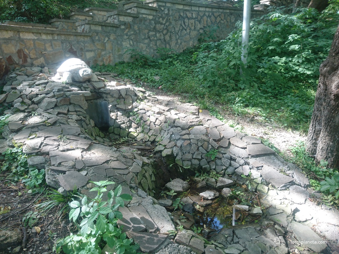 Маленький источник минеральной воды №5 с черепахой в верхней части Курортного парка