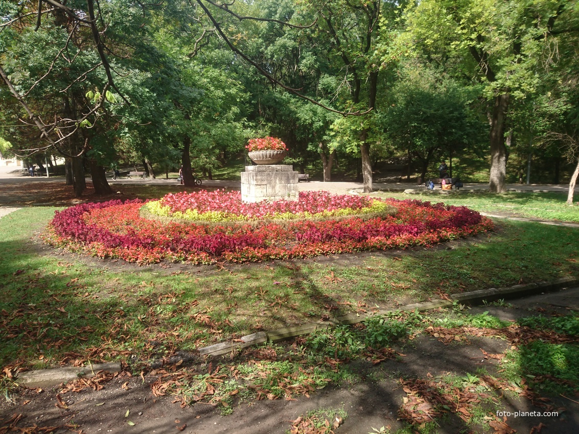 Цветник в Нижней части Курортного парка