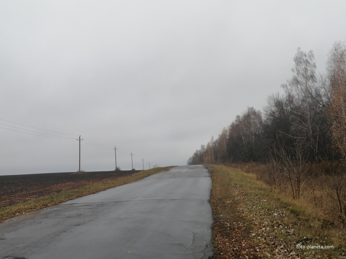 Дорога на деревню Федотово со стороны поселка Кромы
