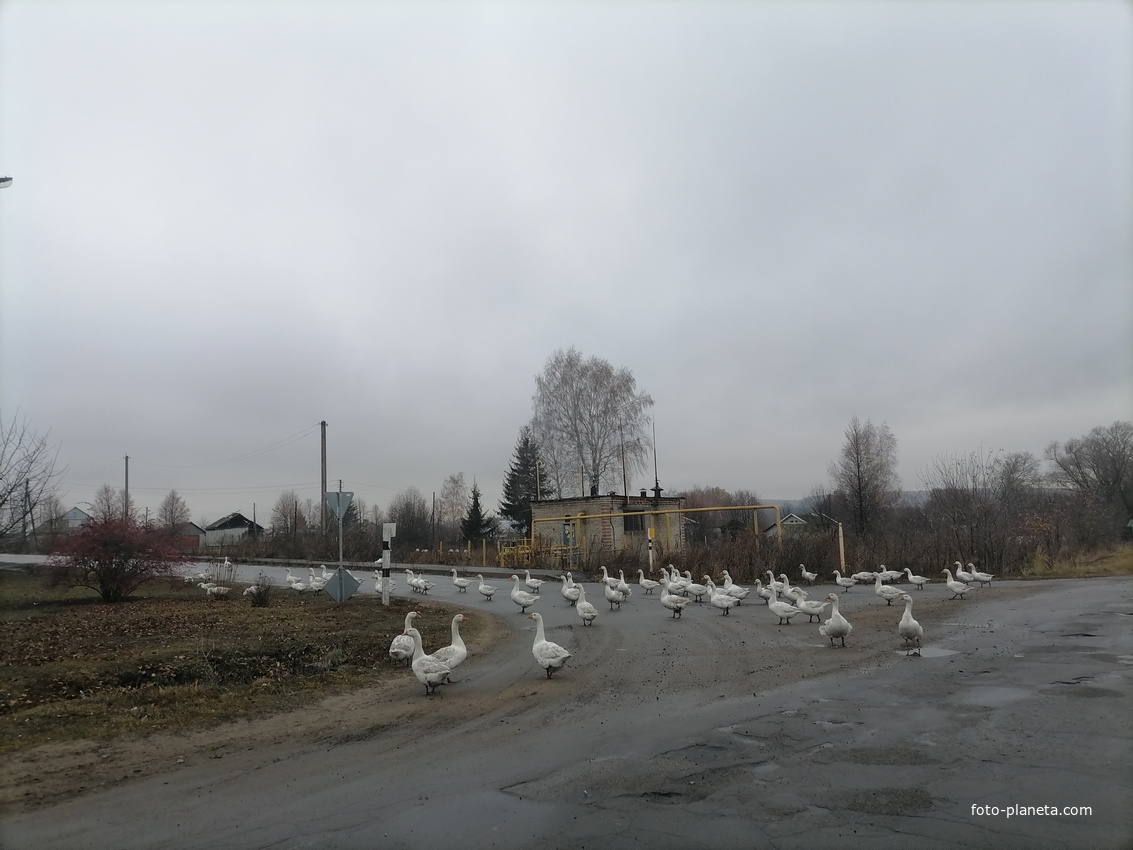 Деревня Федотово