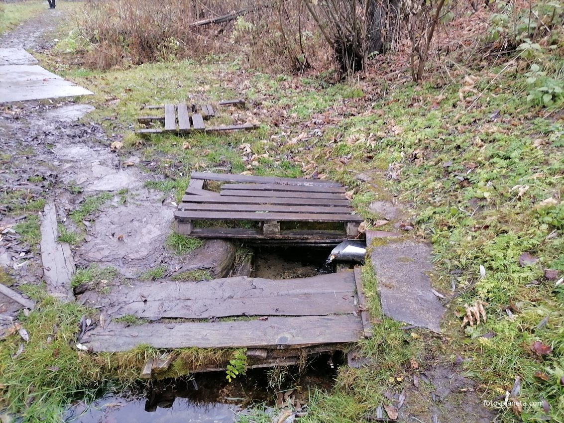 Родник.  Село Коровье Болото