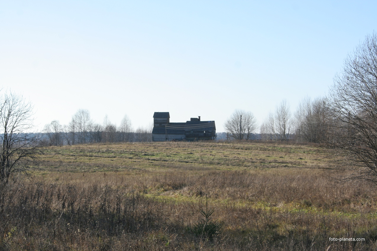 д. Тереньково, элеватор