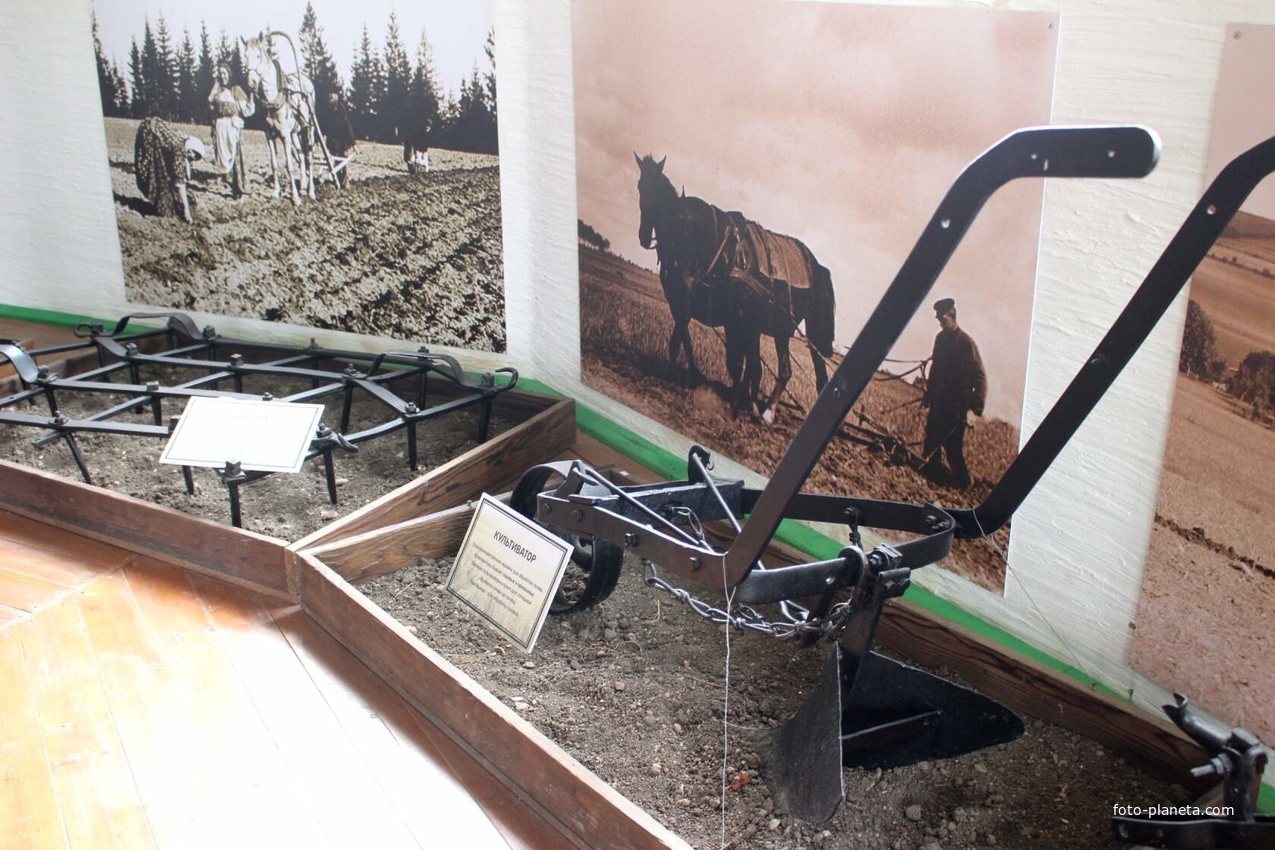 В музее хлеба и вина.