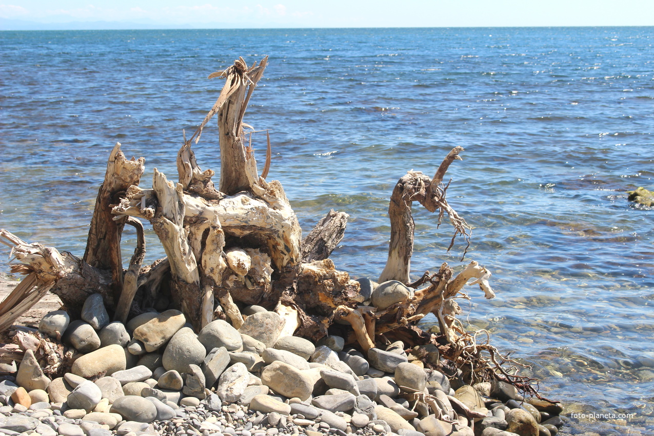 Берег Чёрного моря.