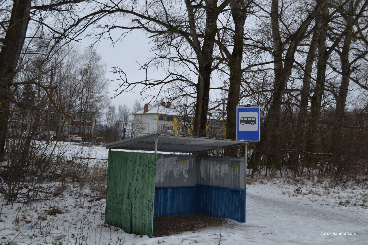 Автобусная остановка в деревне Болотовские дворы, 2021 г.