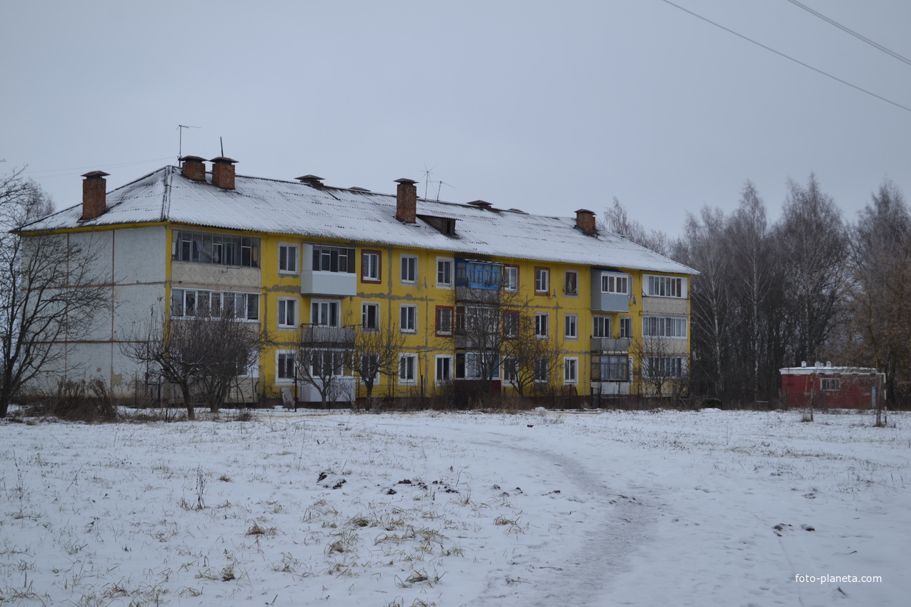 Многоквартирный дом в деревне Болотовские Дворы