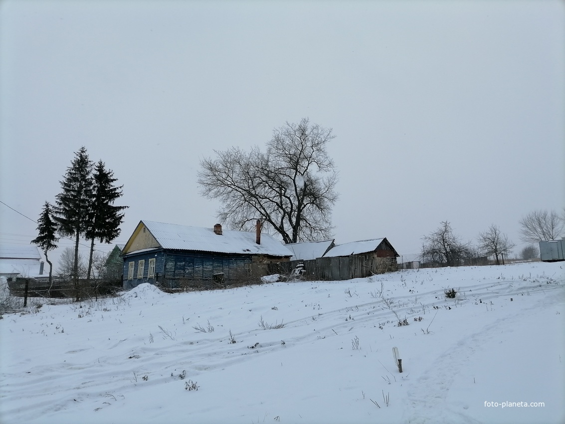 Деревня Большая Драгунская. Зима