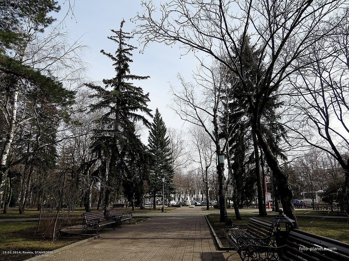 Сквер с южной стороны Ставропольского академического театра. Справа - участок ул.Михаила Морозова