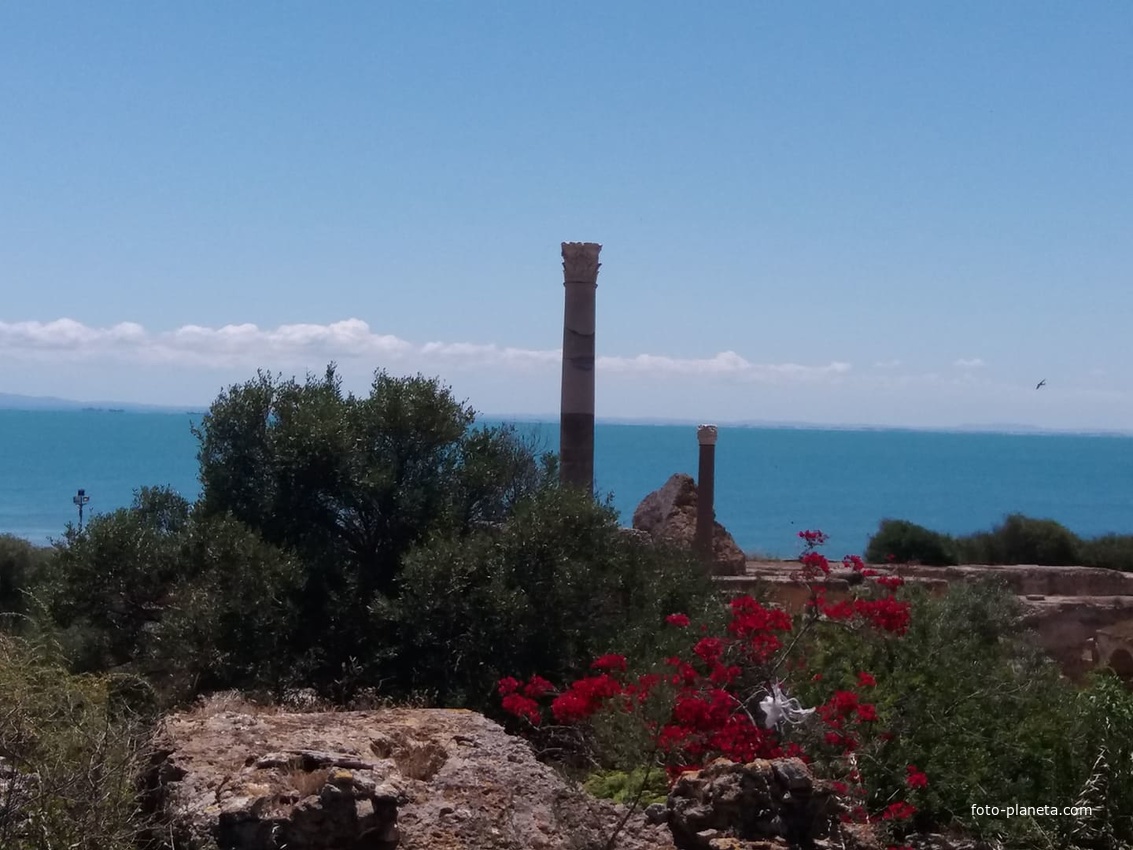 Карфаген, Тунис , Carthage