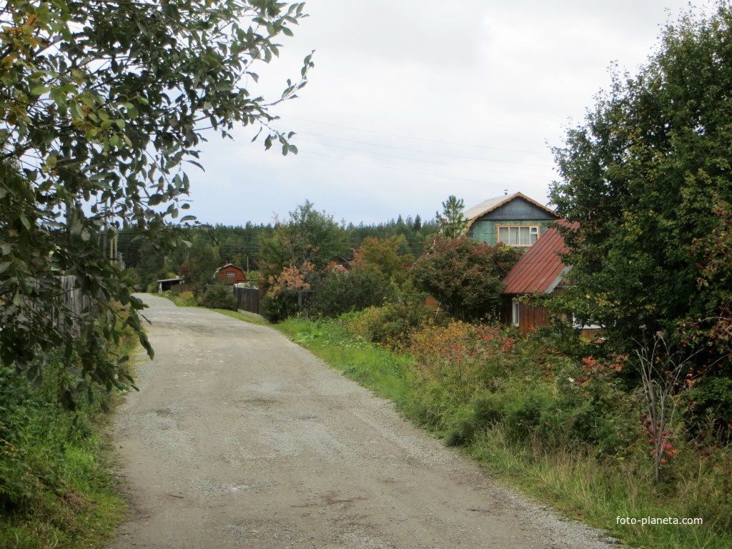 Коллективный сад № 15. Вторая поляна