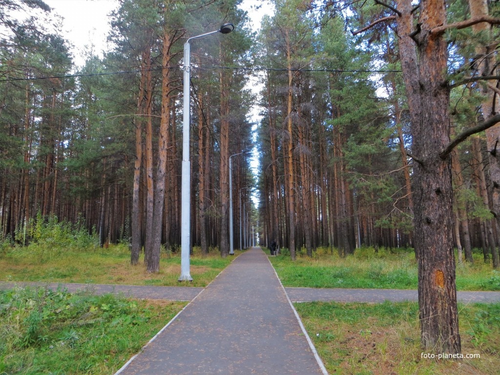 Комсомольский парк