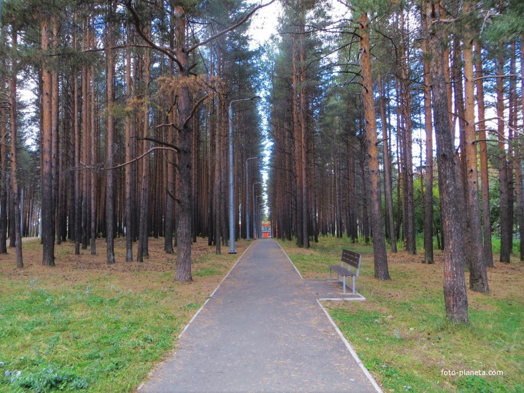 Комсомольский парк