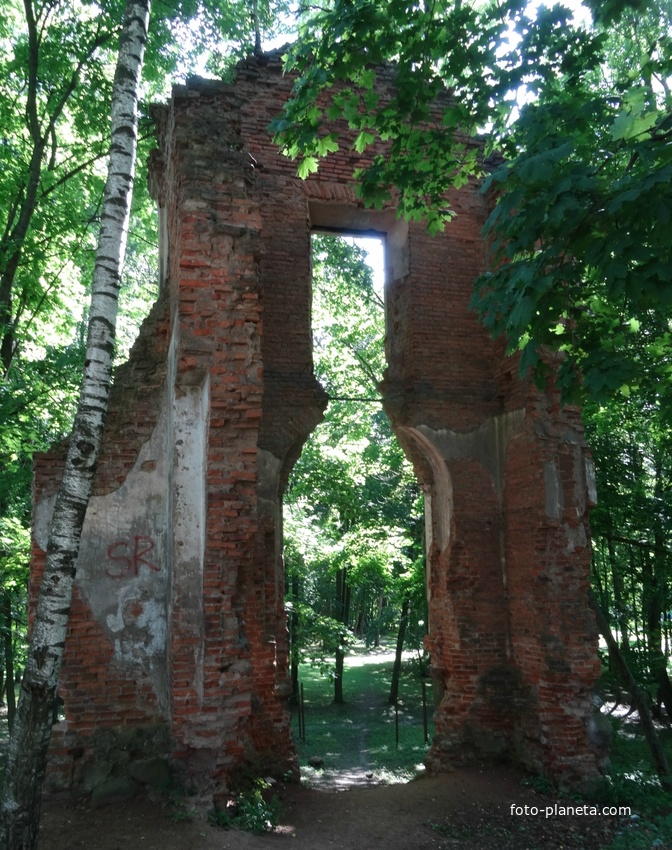 руины дворца Тышкевичей