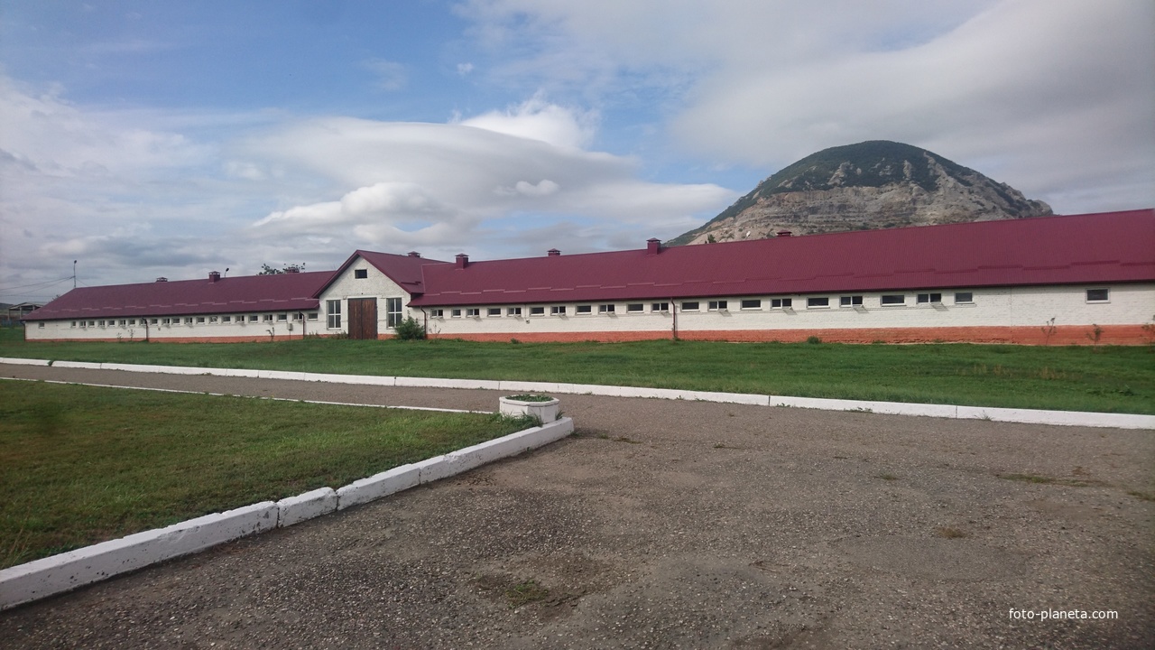 Конюшни на территории Терского племенного конезавода