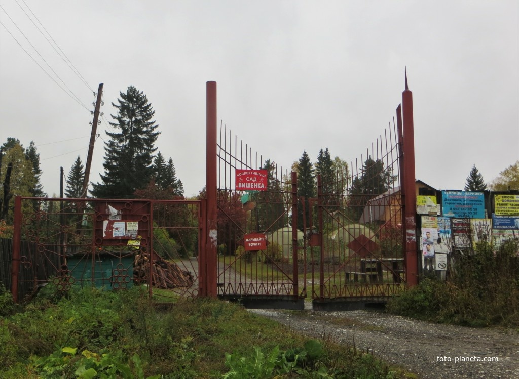 Коллективный сад &quot;Вишенка&quot;