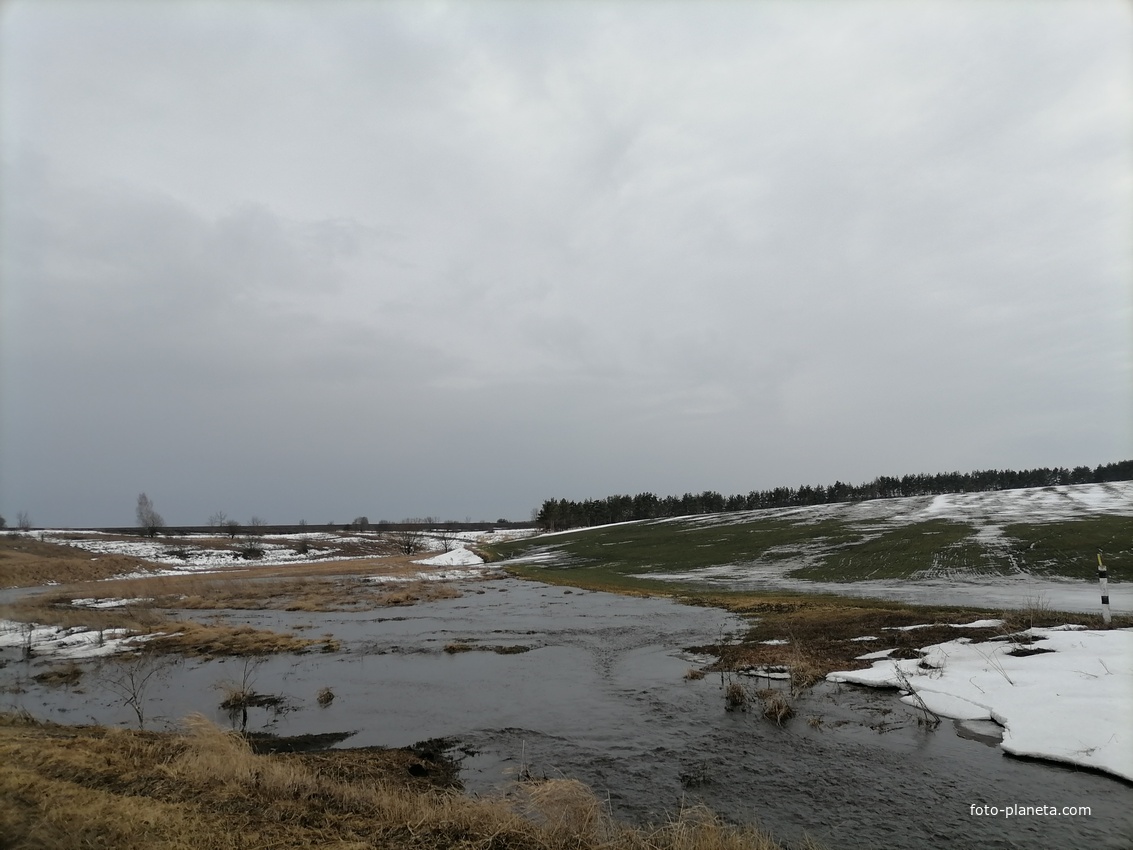 Вешние воды .Поле возле села Коровье Болото