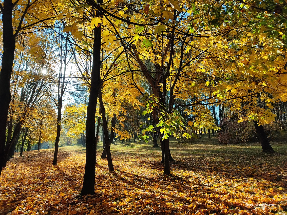 Осень в парке 60-летия Великого Октября