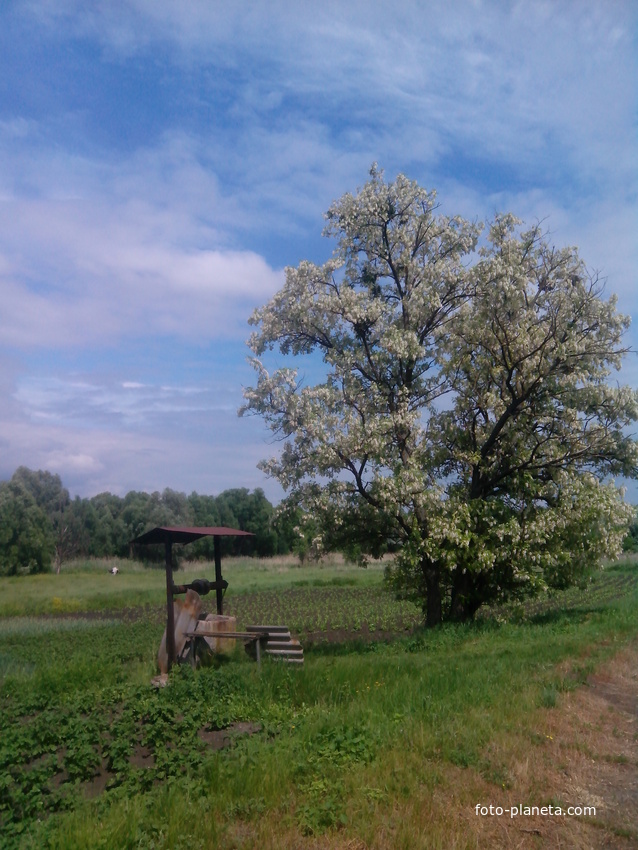 Верхний Бишкин