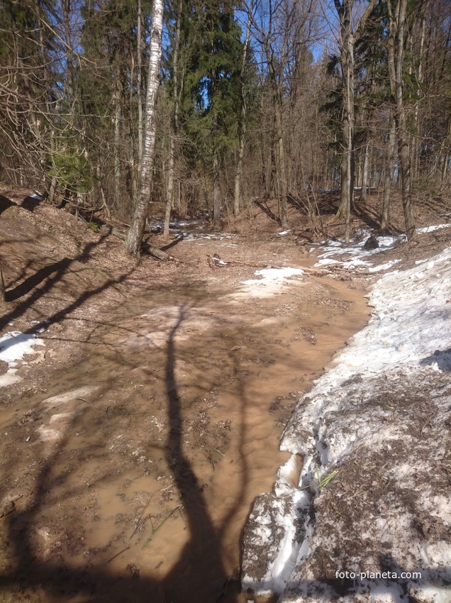Ручей на территории усадьбы  &quot;Мураново&quot; имени Ф.И. Тютчева