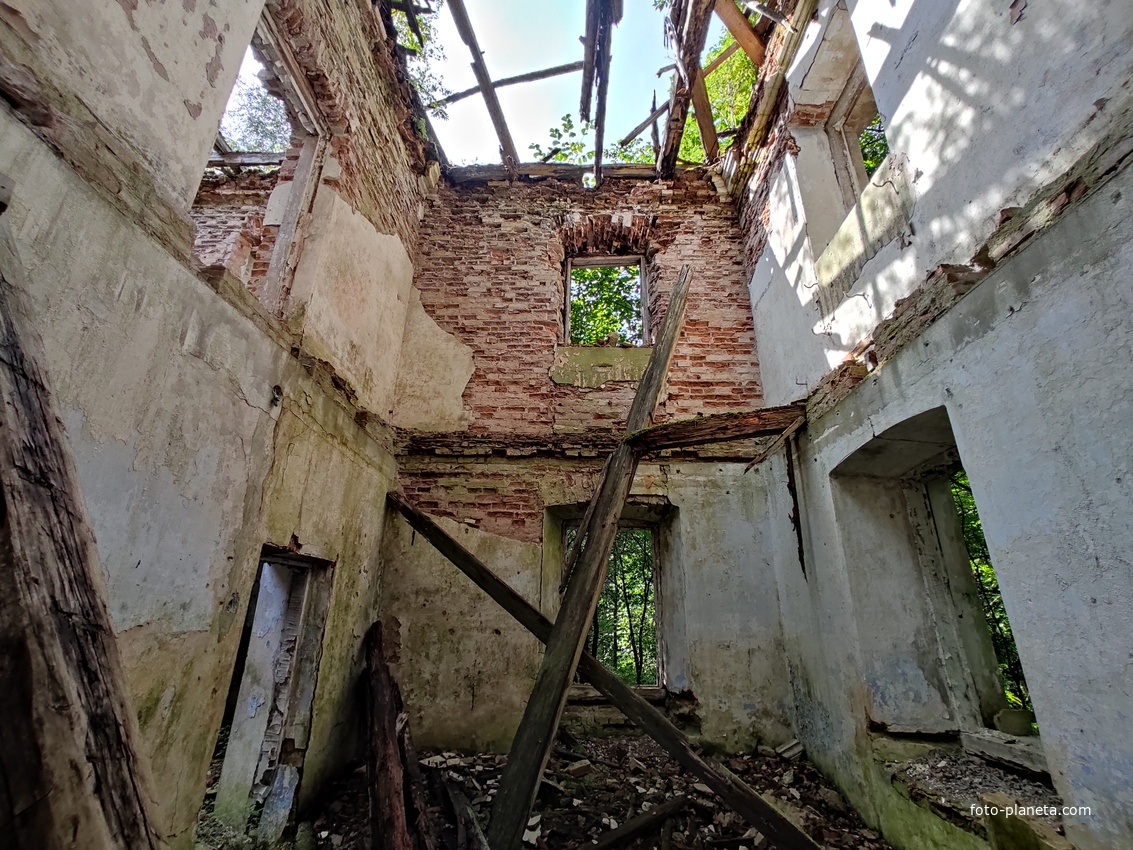 Руины усадьбы Хрептовичей «Одровонж» в деревне Вишнево