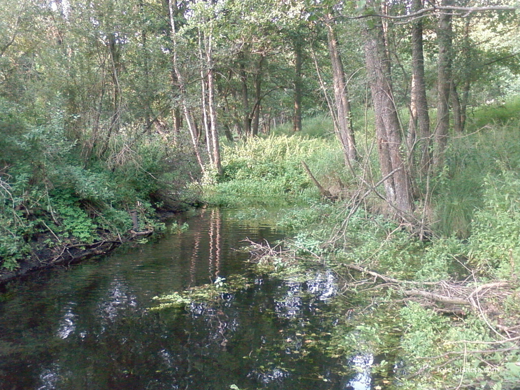 Еловики, утро