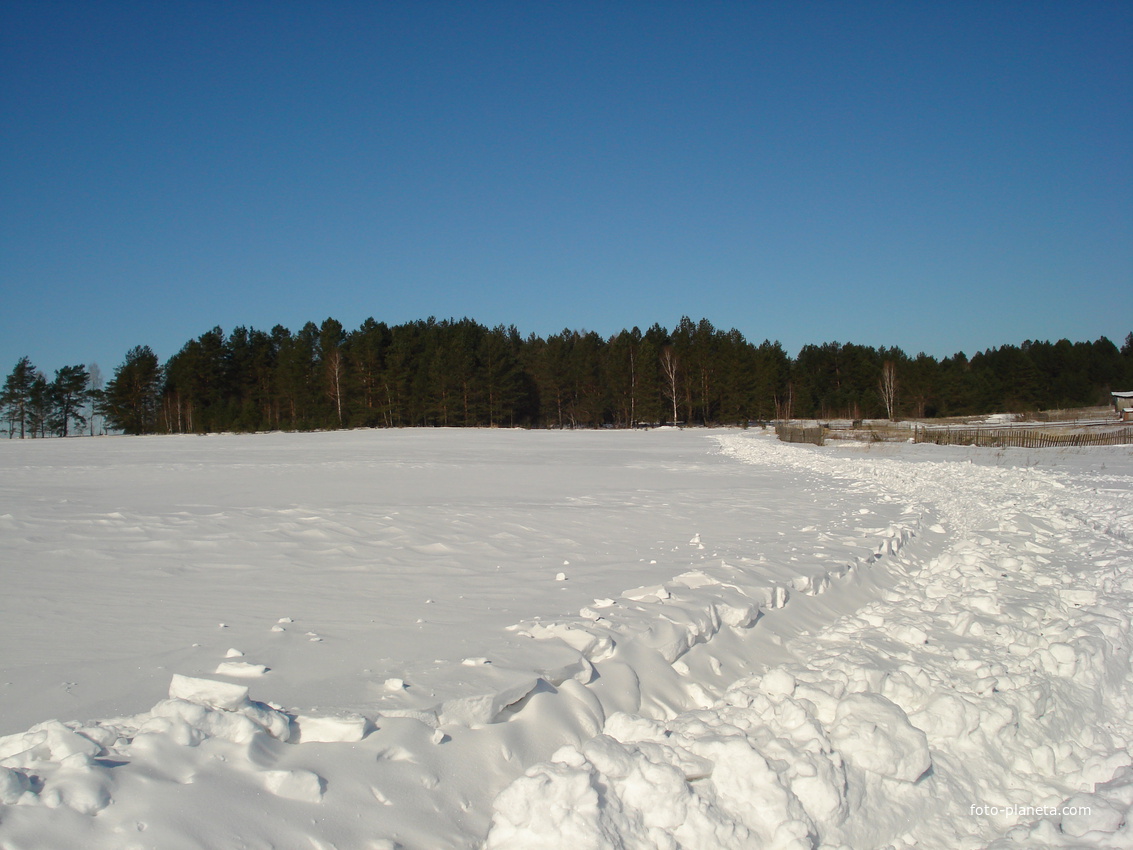зима,Еловики