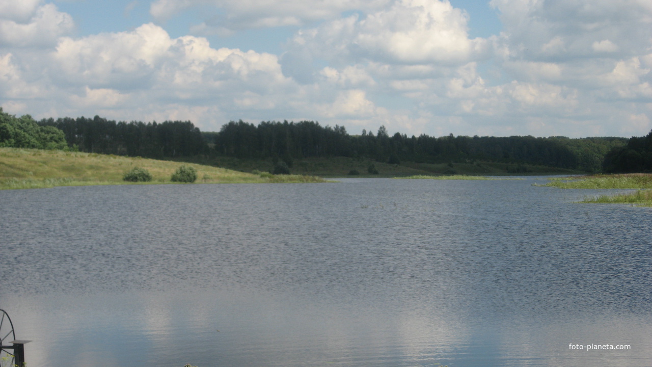 В.Кубань.Пруд