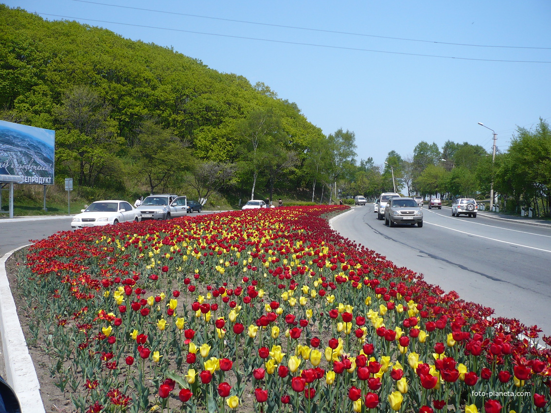 Находка  Май .