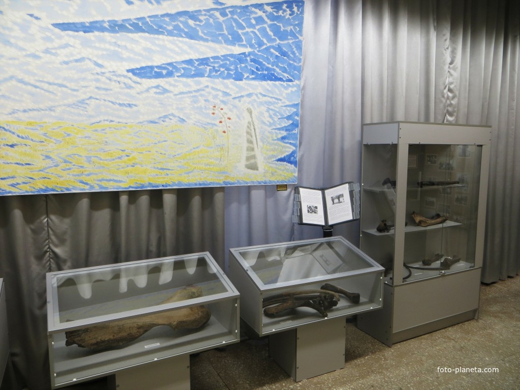 Ископаемые древних животных