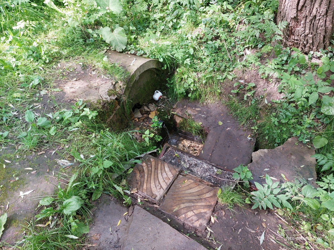 Источник на реке Северка