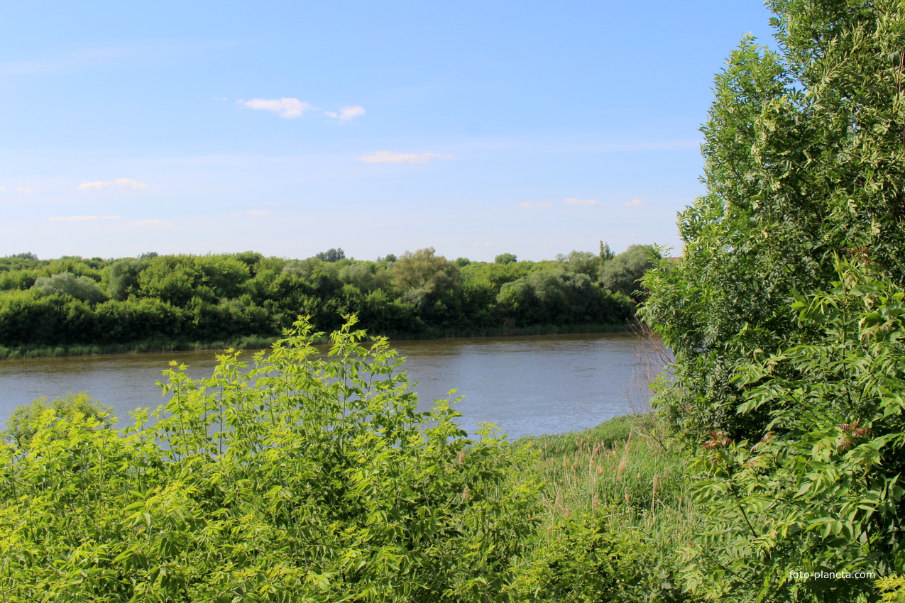 Вид на реку Дон из парка в усадьбе Д.Веневитинова.