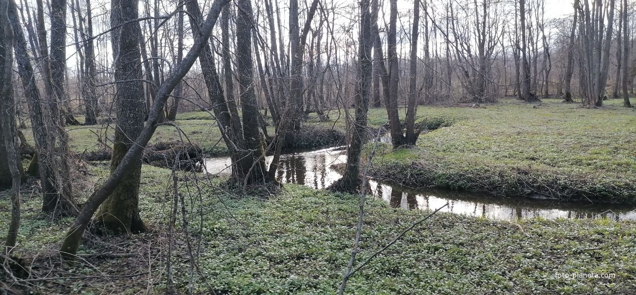 Ручей реки Гастижа