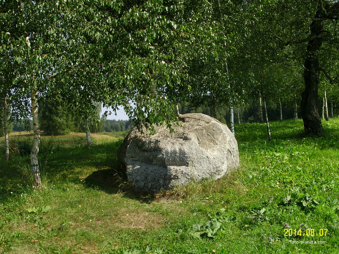 Камень-исполин у берёзовой аллеи в Петровском парке