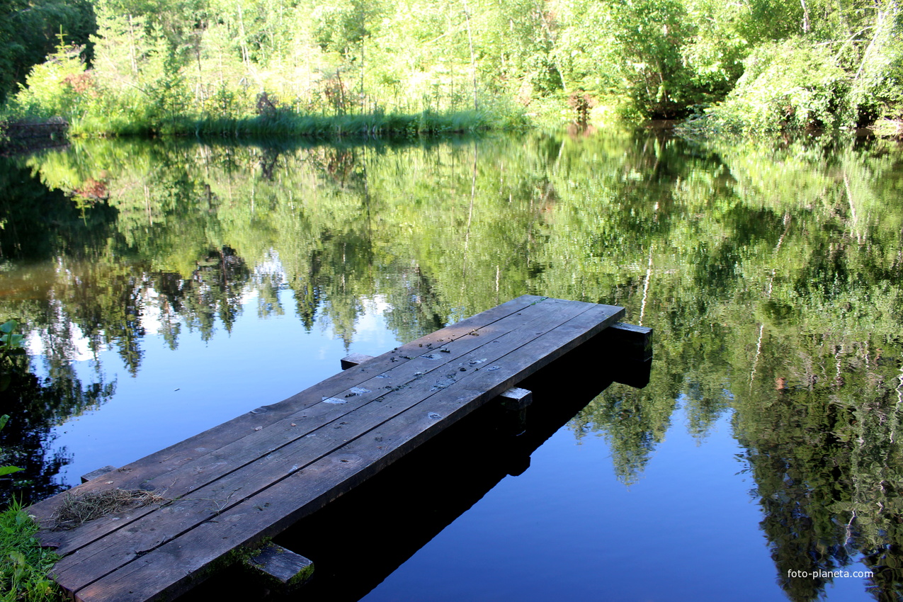Пруд на турбазе &quot;Пушкиногорье&quot;.