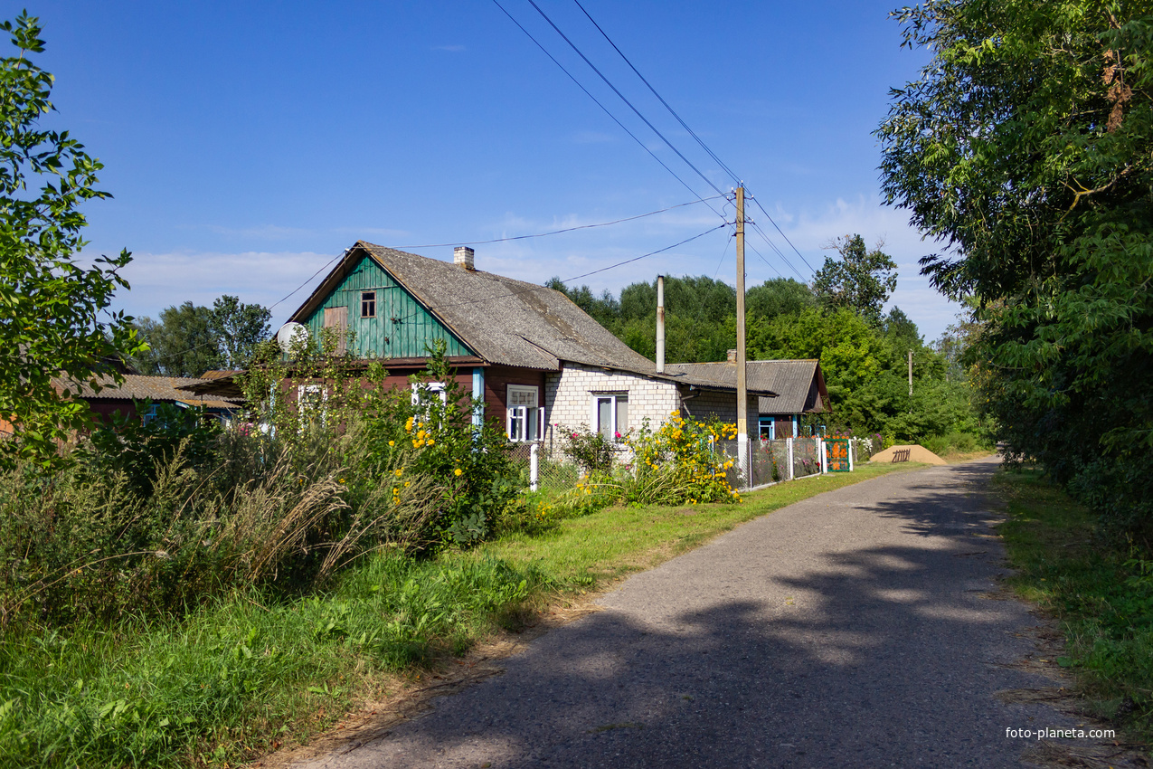 Дома дер. Лесники