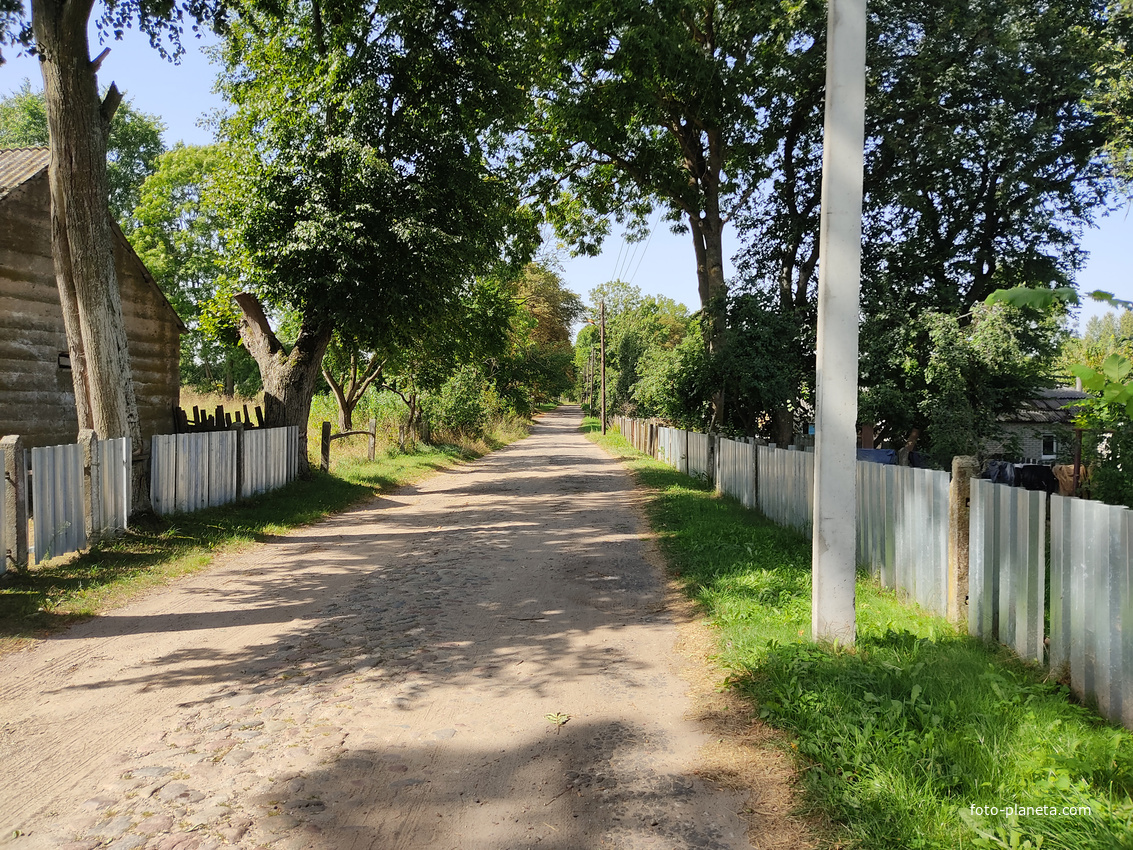 Улица дер. Ораны