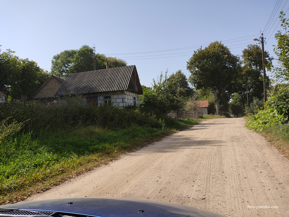 Дома дер. Снопки