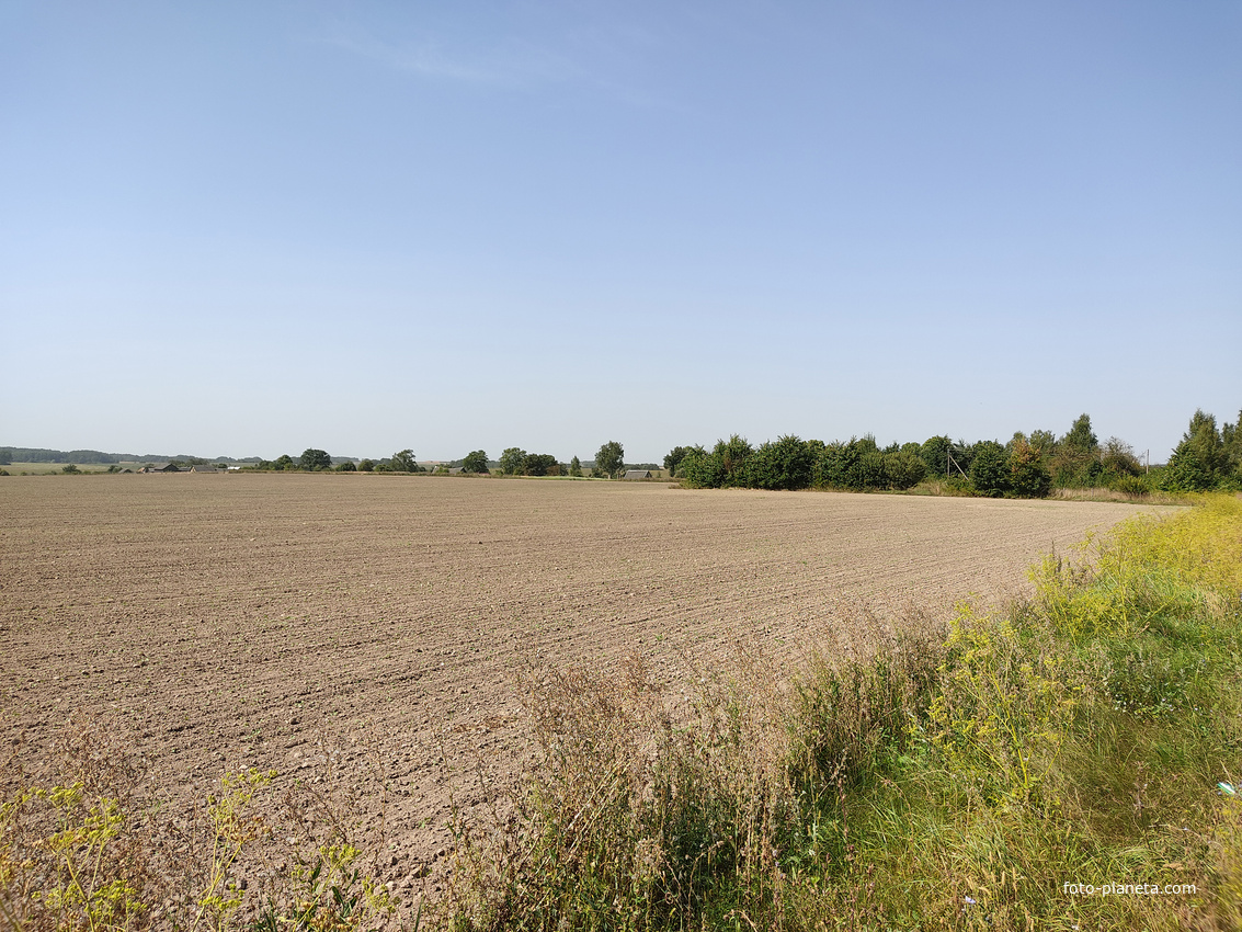 Окрестности дер. Шандры
