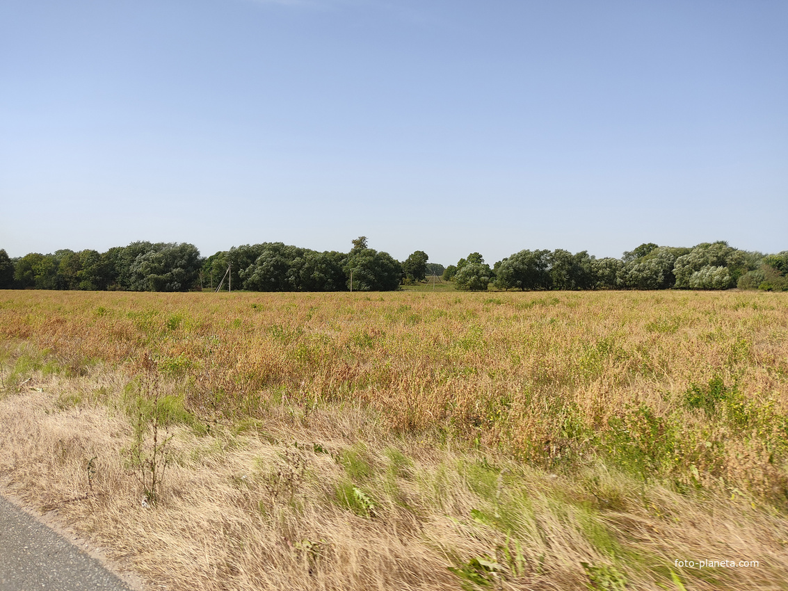 Окрестности дер. Шандры