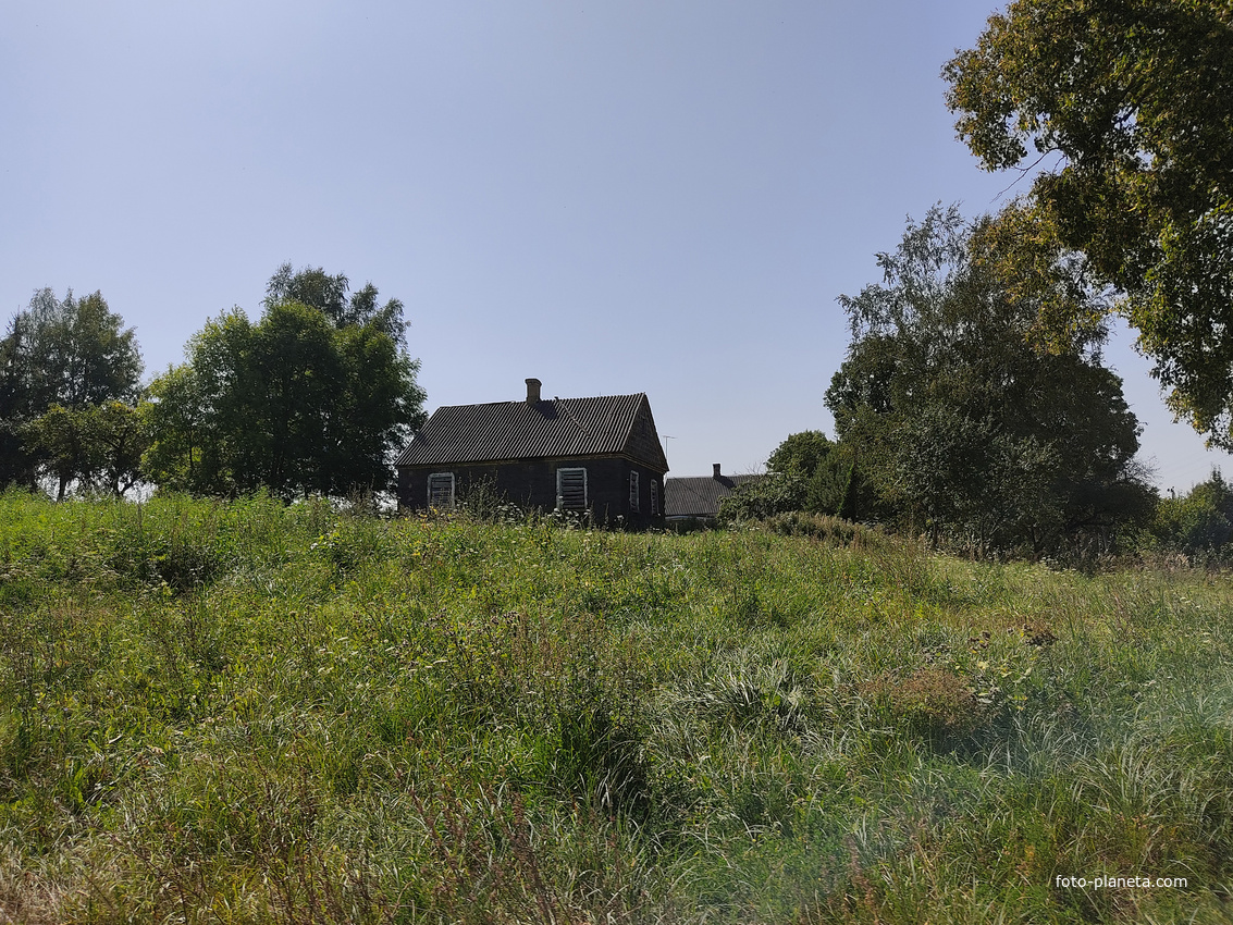 Дома дер. Шандры