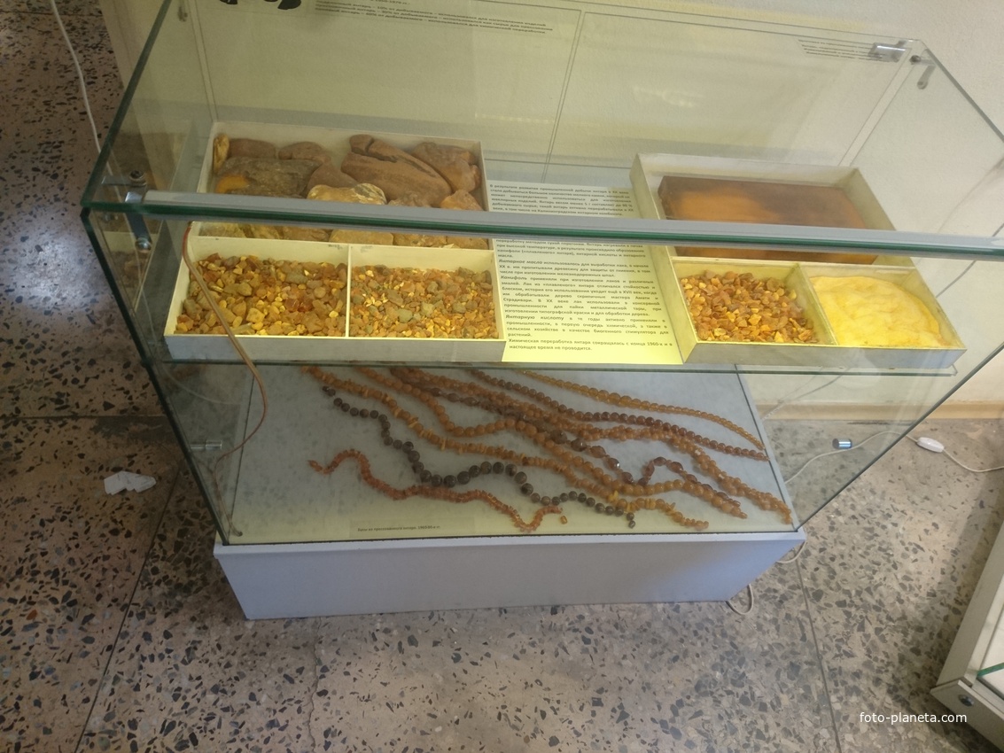 В Музее янтаря в башне Дона