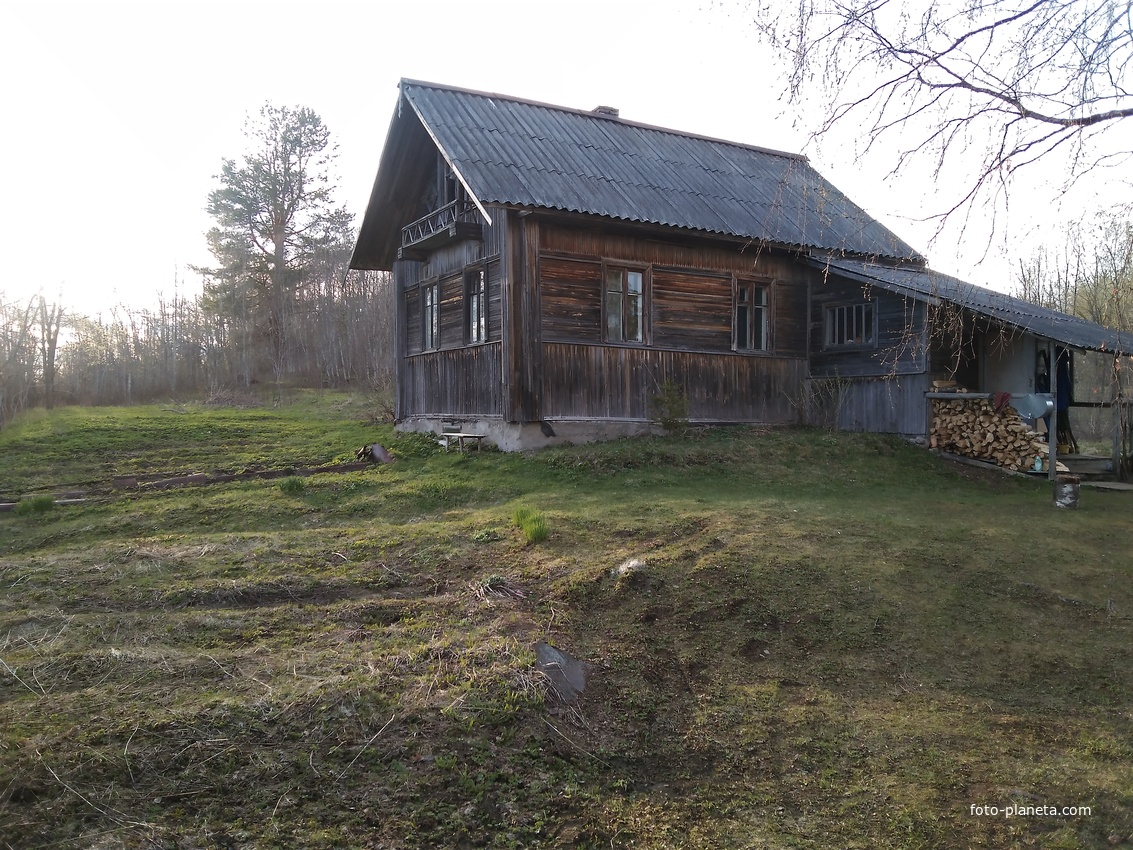 Афанасьева сельга весна 2022 год