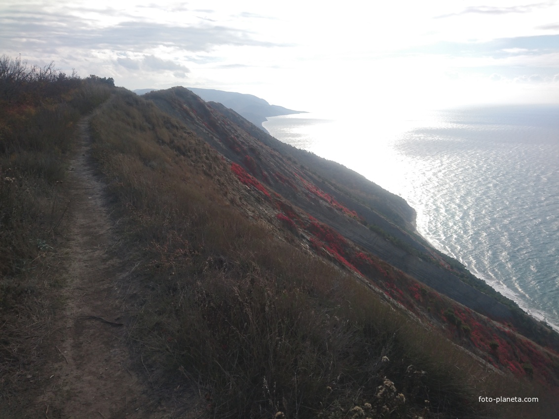 На гребне холмов Семисамского хребта за селом Варваровка у побережья Чёрного моря. Вид в сторону мыса Утриш