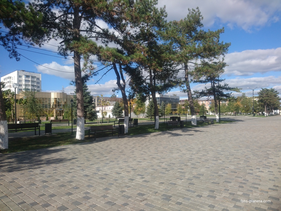 В Центральном парке (парке им. Тельмана)