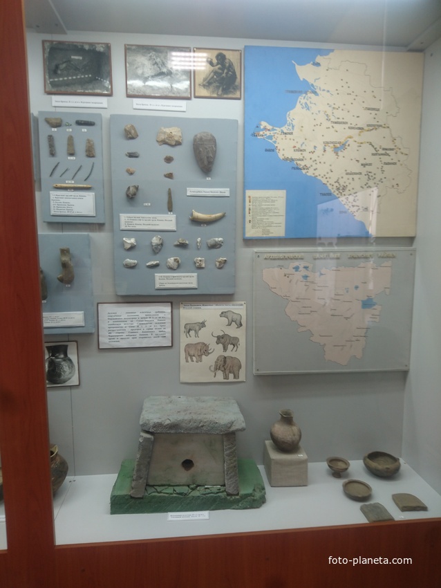 Экспозиция краеведческого музея. Зал «Археология»