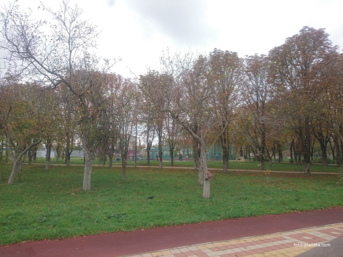 В парке 70-летия Победы около спортивной площадки