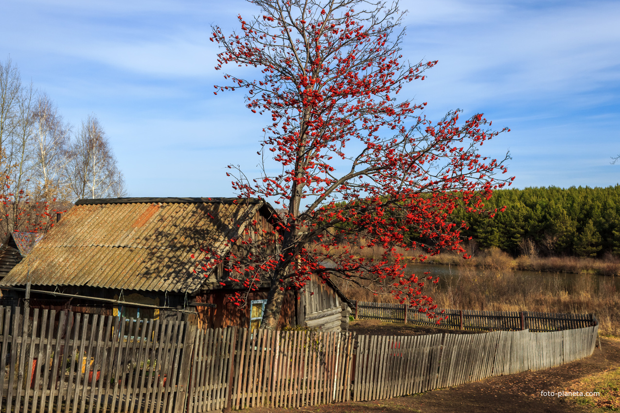 Ул. Комсомольская