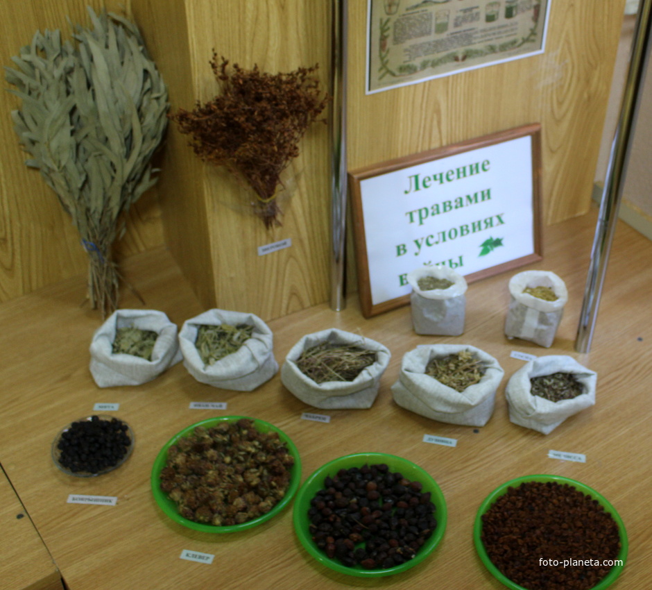 В Историко-краеведческом музее имени Н.Г. Полетаева.